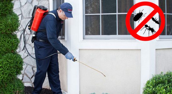 Çağlayancerit Kemirgen İlaçlama böcek ilaçlama ve haşere kontrolü — ilaclama-tr.com